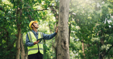JAMB Cut Off Mark for Agricultural and Environmental Engineering